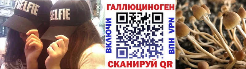 Галлюциногенные грибы прущие грибы  Кстово 
